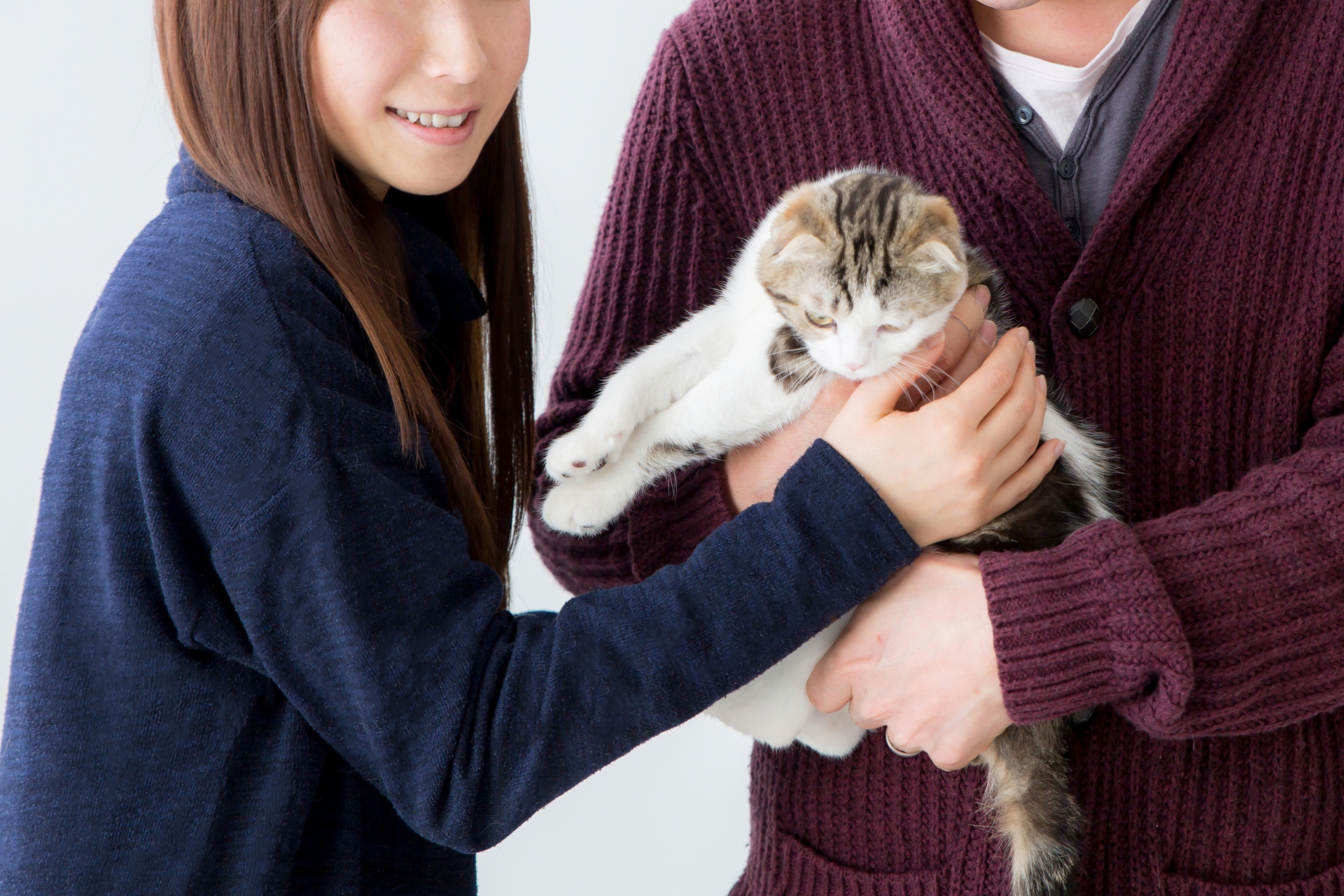 男女に抱かれている猫