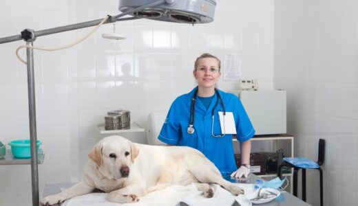 犬の腎臓病を理解する｜知っておきたい検査や治療法についても解説します