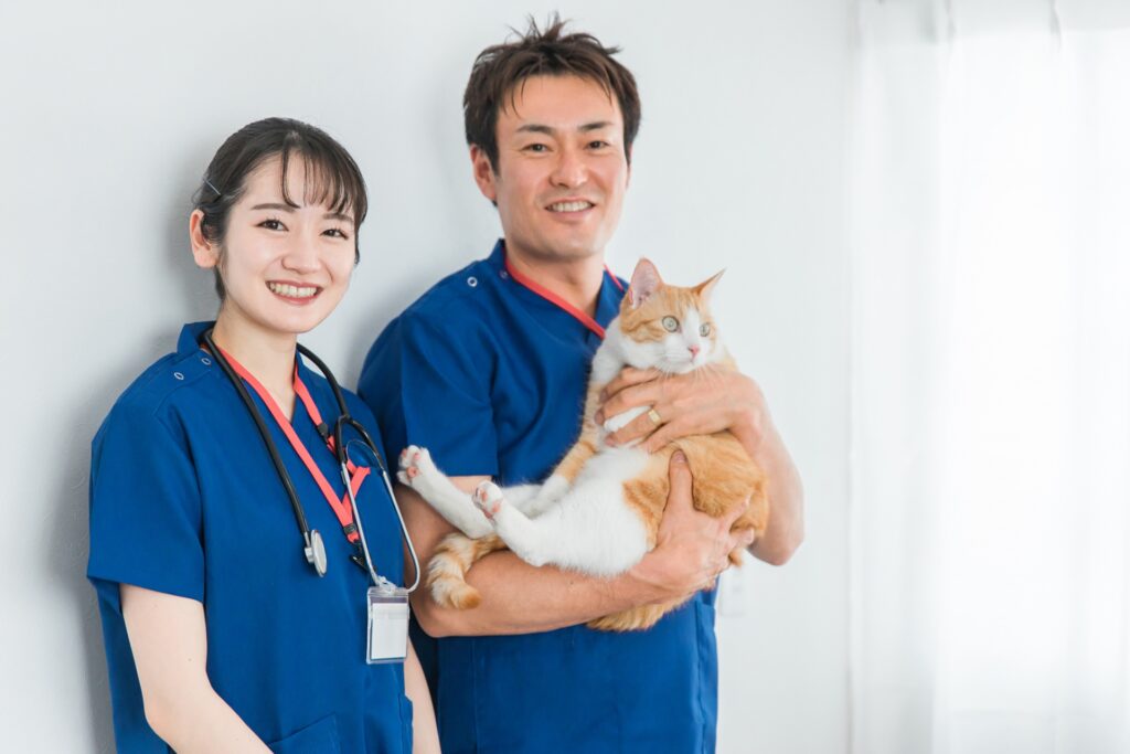 猫エイズ(FIV)とは?進行段階ごとの症状や予防方法について解説!