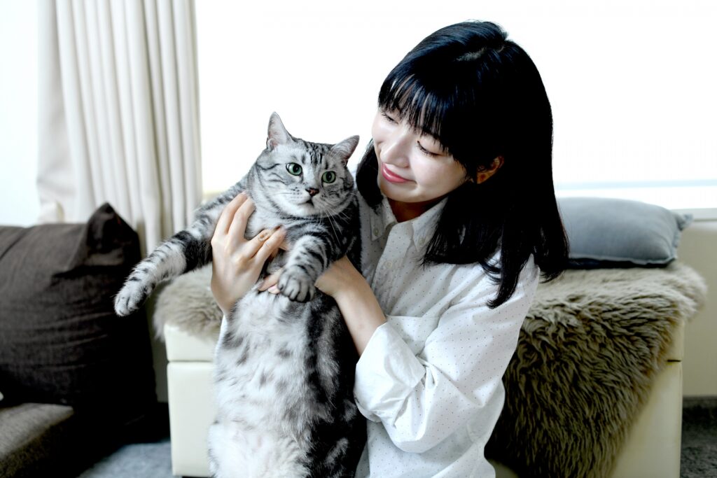 猫エイズ(FIV)の予防方法