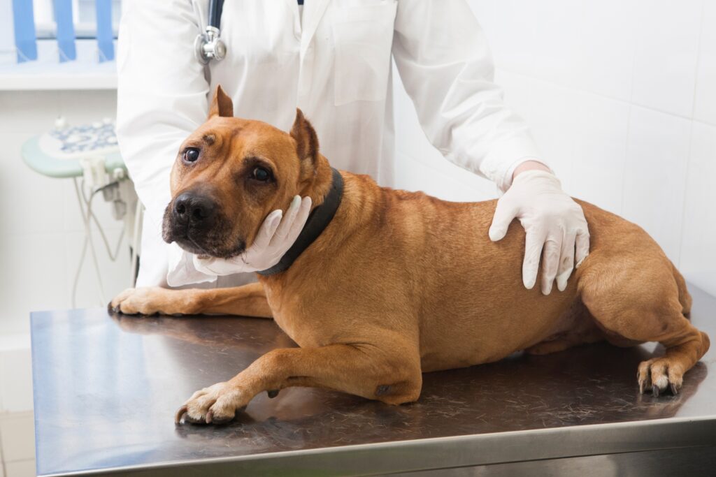 検査方法・治療法