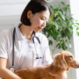 犬ジステンパーウイルス感染症とは?症状から予防法まで解説します