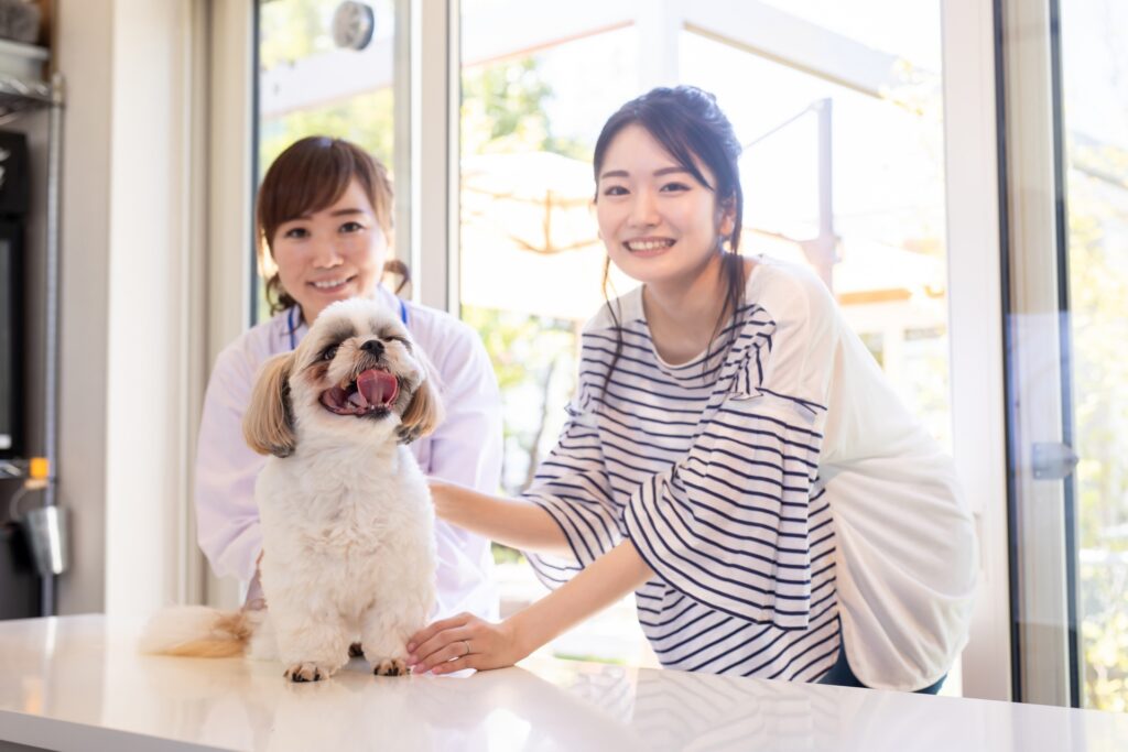 犬の涙やけの治療法