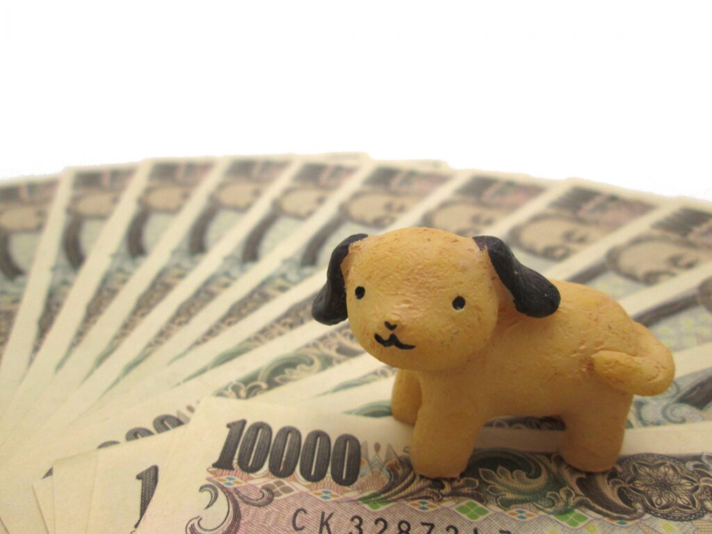 犬の膿皮症の治療費