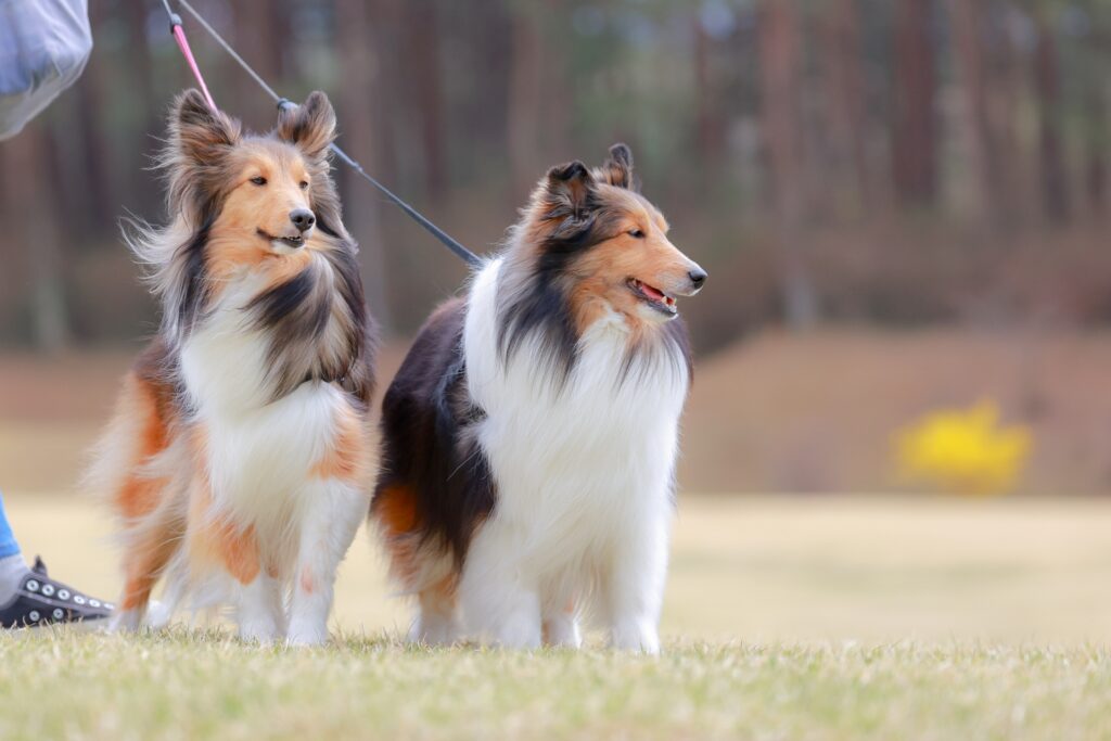 血便の予防方法