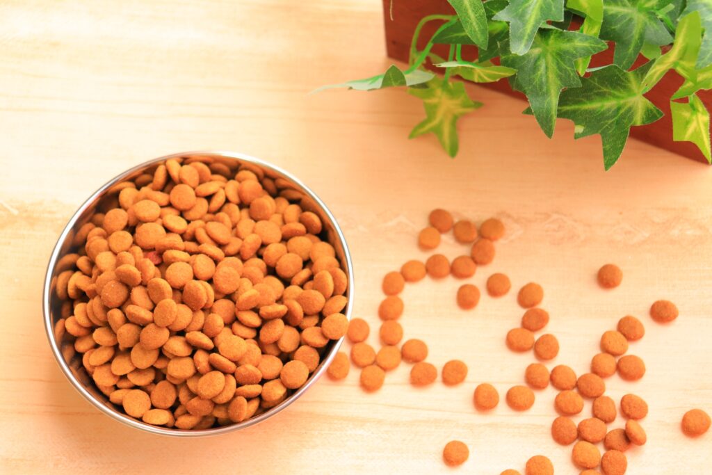 犬の尿毒症の予防