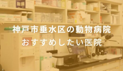 【2024年】神戸市垂水区の動物病院 おすすめしたい6医院
