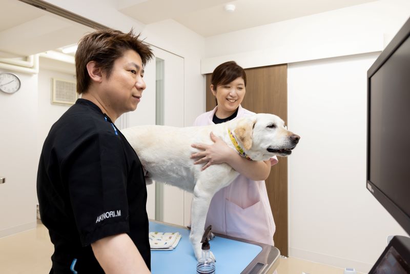 松田アニマルクリニック