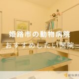 姫路市の動物病院おすすめしたい医院