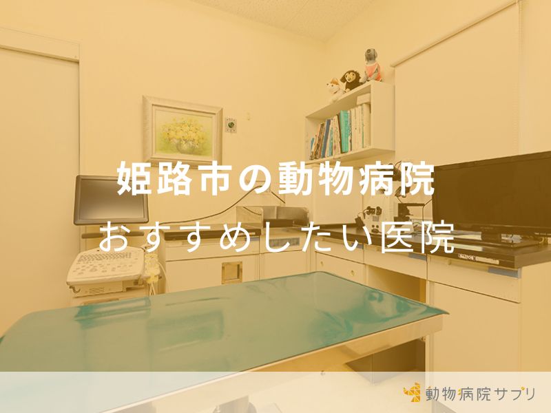 姫路市の動物病院おすすめしたい医院