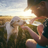 犬にはどんな感染症があるの?予防するには?犬から人に感染する感染症についても解説!