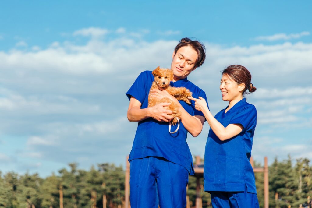 犬パルボウイルスの予防やリスク