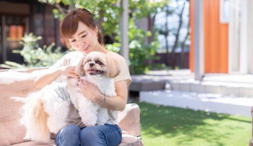 犬パルボウイルスでの致死率は？症状や原因も解説