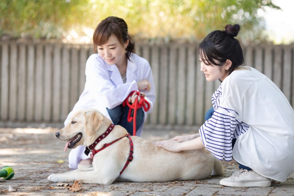 そのほかの犬の感染症の例