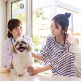 犬パルボウイルス感染症とは?その症状やリスク、そのほかの感染症まで幅広く解説