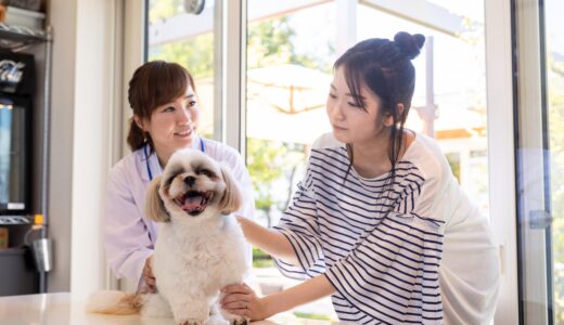 犬パルボウイルス感染症とは？その症状やリスク、そのほかの感染症まで幅広く解説