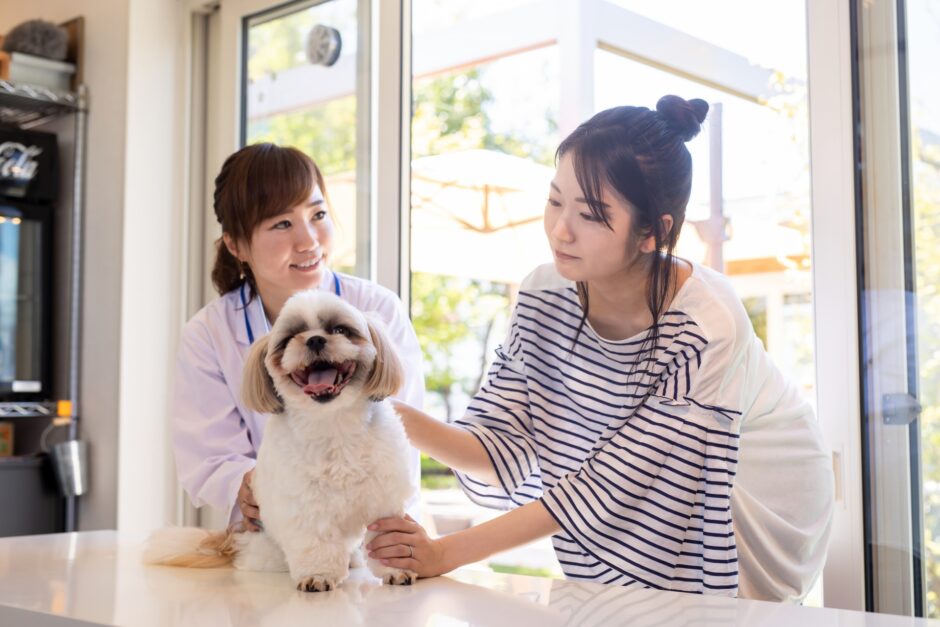 犬パルボウイルス感染症とは？その症状やリスク、そのほかの感染症まで幅広く解説