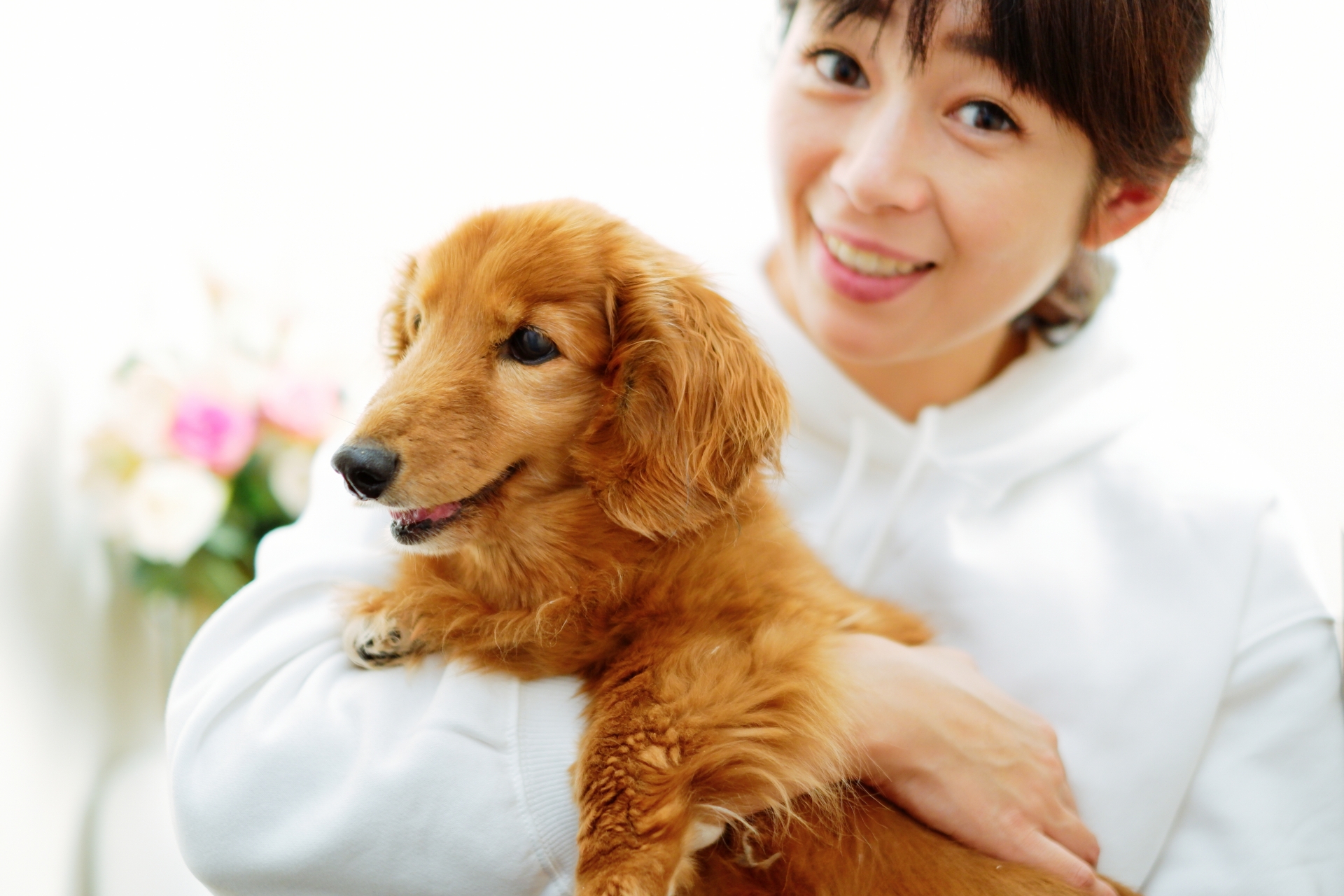 抱き抱えられる犬