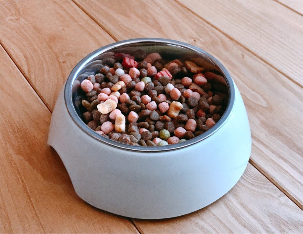 犬が下痢の場合の治療と食事