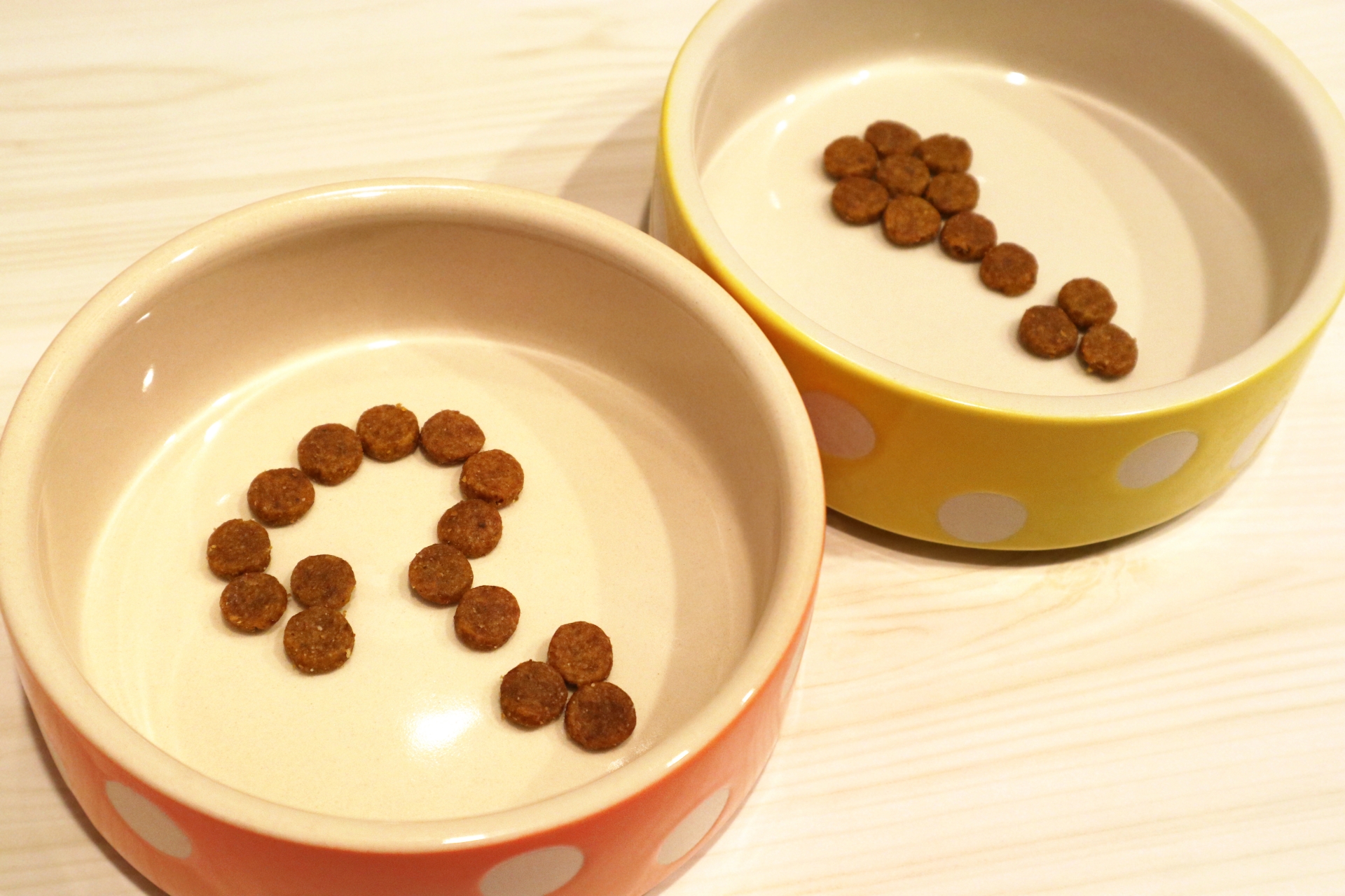 猫の餌(?!マーク)