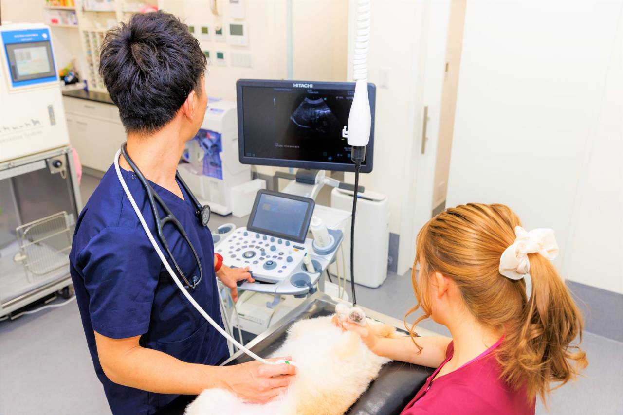 ラミナ動物病院