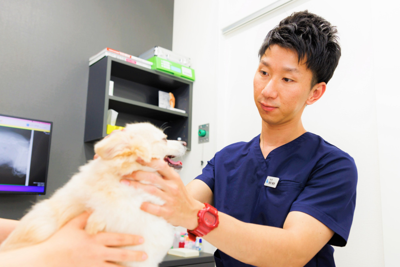 ラミナ動物病院