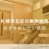 札幌市北区の動物病院おすすめしたい医院