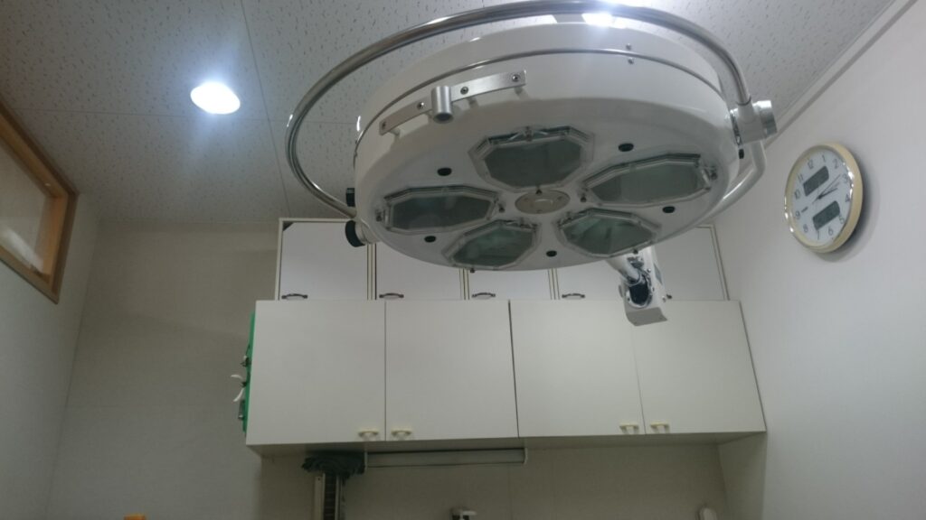 犬の僧帽弁閉鎖不全症の検査と治療