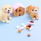 犬が薬を飲まない理由とは?薬の飲ませ方や薬を飲まないときの注意点について解説!
