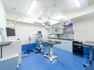 かなで犬猫クリニック