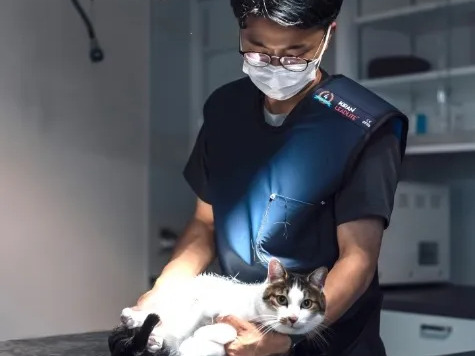 かなで犬猫クリニック