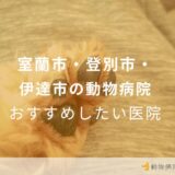 室蘭市・登別市・伊達市の動物病院