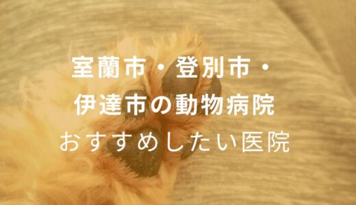 【2024年】室蘭市・登別市・伊達市の動物病院 おすすめしたい4医院