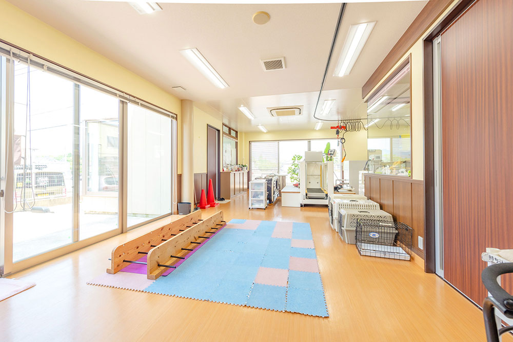 福岡動物医療センターグループ 動物医療センター春日