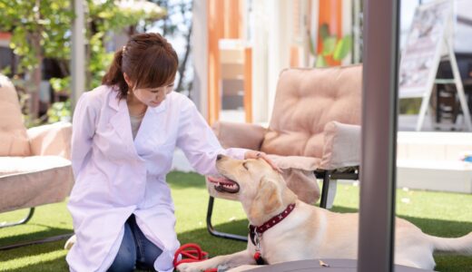 犬の下痢・嘔吐の原因は？自宅でできる対処法や治療法について解説