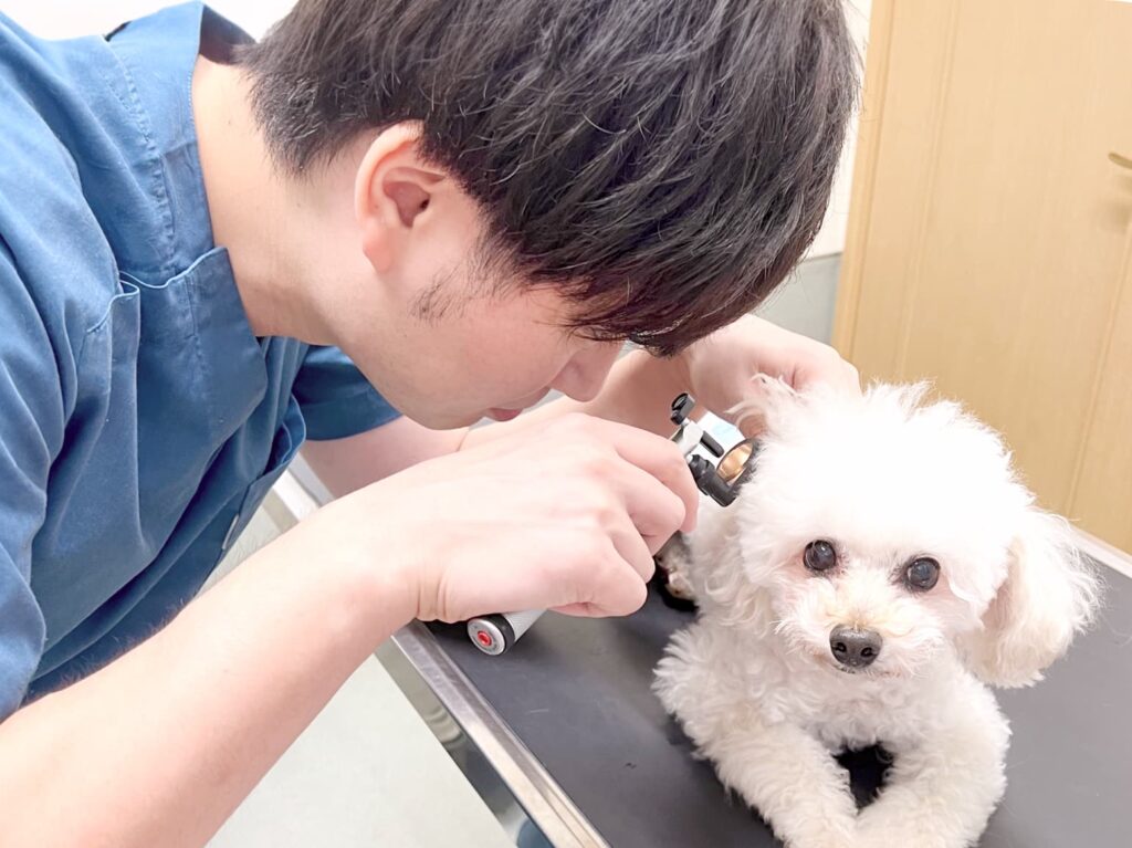 メル犬猫クリニック