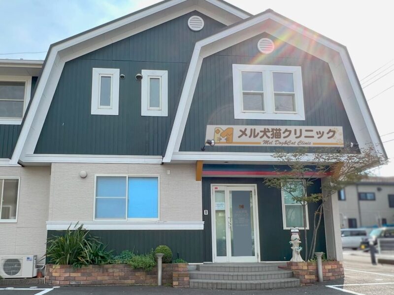 メル犬猫クリニック