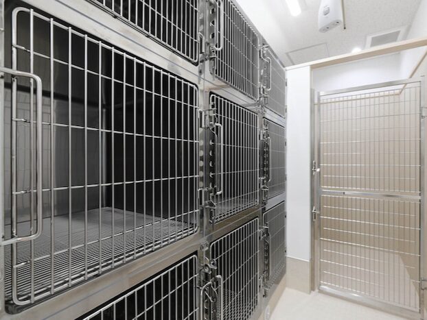 ぽらべあ動物病院