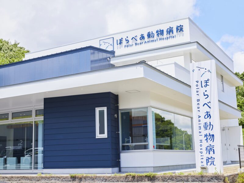 ぽらべあ動物病院
