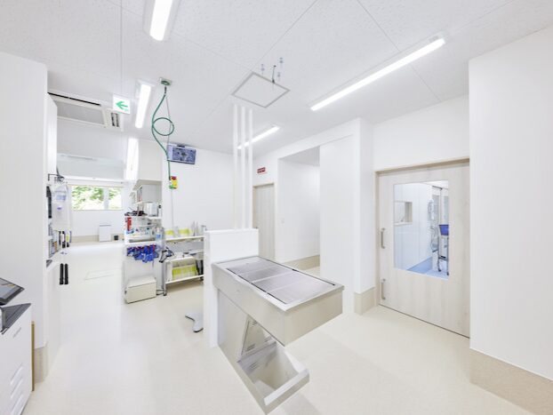 ぽらべあ動物病院