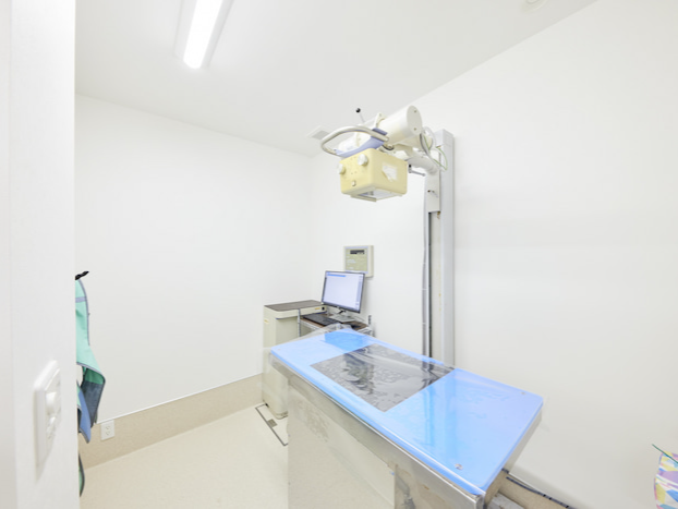 ぽらべあ動物病院