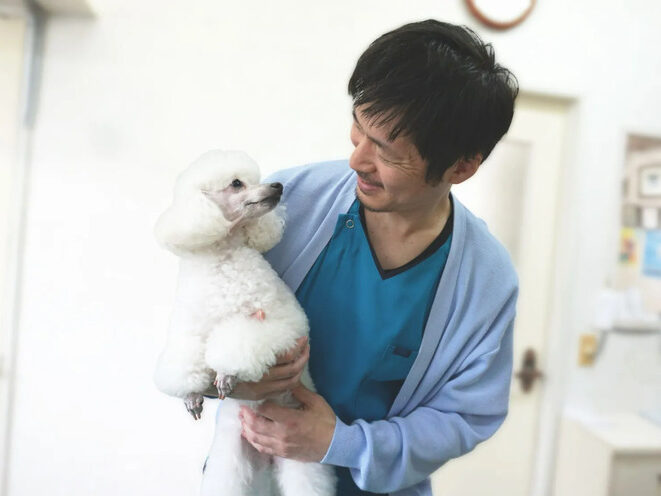 うすだ動物病院