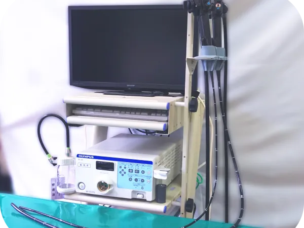 うすだ動物病院