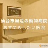 仙台市周辺の動物病院 おすすめしたい医院