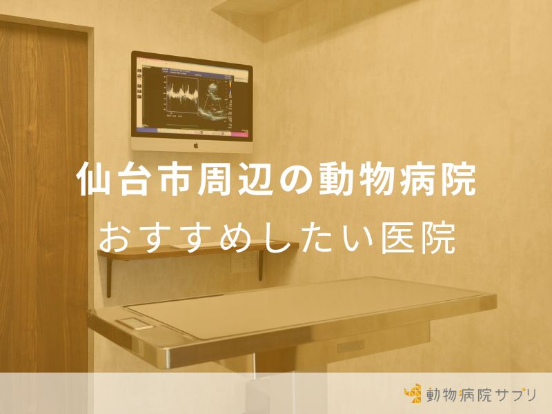 仙台市周辺の動物病院 おすすめしたい医院
