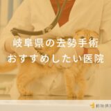 岐阜県の去勢手術おすすめしたい医院