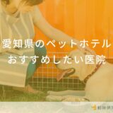 愛知県のペットホテルおすすめしたい医院