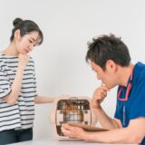 猫のうんちがゆるい原因とは?うんちの状態でわかることや病院に連れていくべきかのポイントも解説