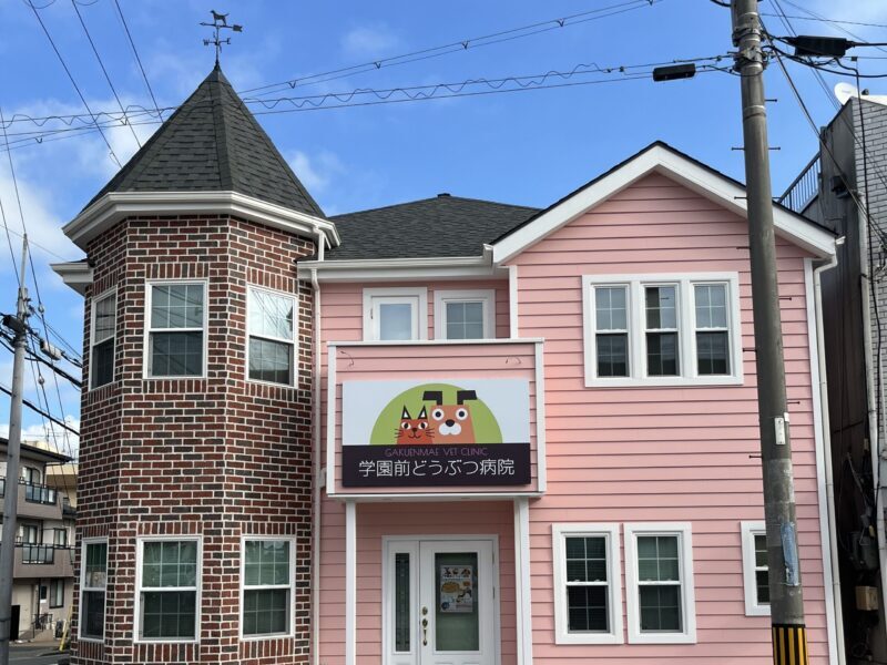 学園前どうぶつ病院