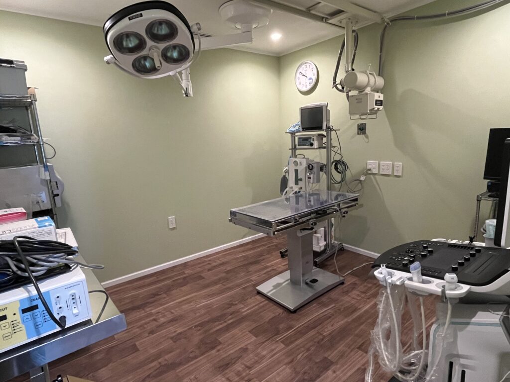 学園前どうぶつ病院